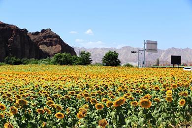 《GT赛车7》发布1.25版本更新 添加4辆新车