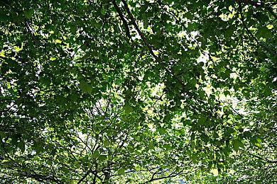 《高尔夫大乱斗》5月19日发售 支持简体中文