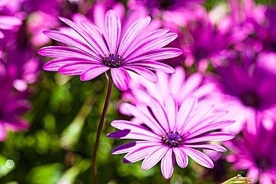 《歧路旅人2》开发工作已完成90% 更多情报随后公布